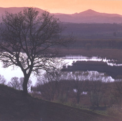 Lake Montepulciano